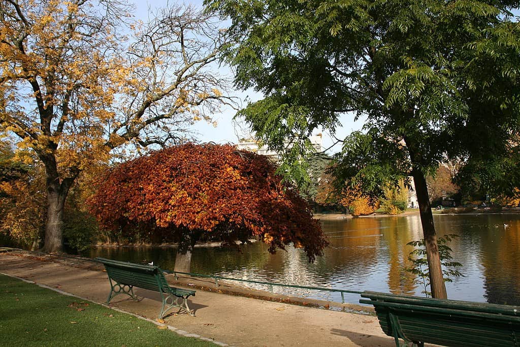 Zgalus Parc Montsouris